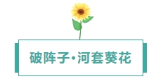 寰?俊鎴?浘_20240809112924.png