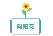 360鎴?浘20240812104229102.jpg