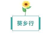 寰?俊鎴?浘_20240809113021.png