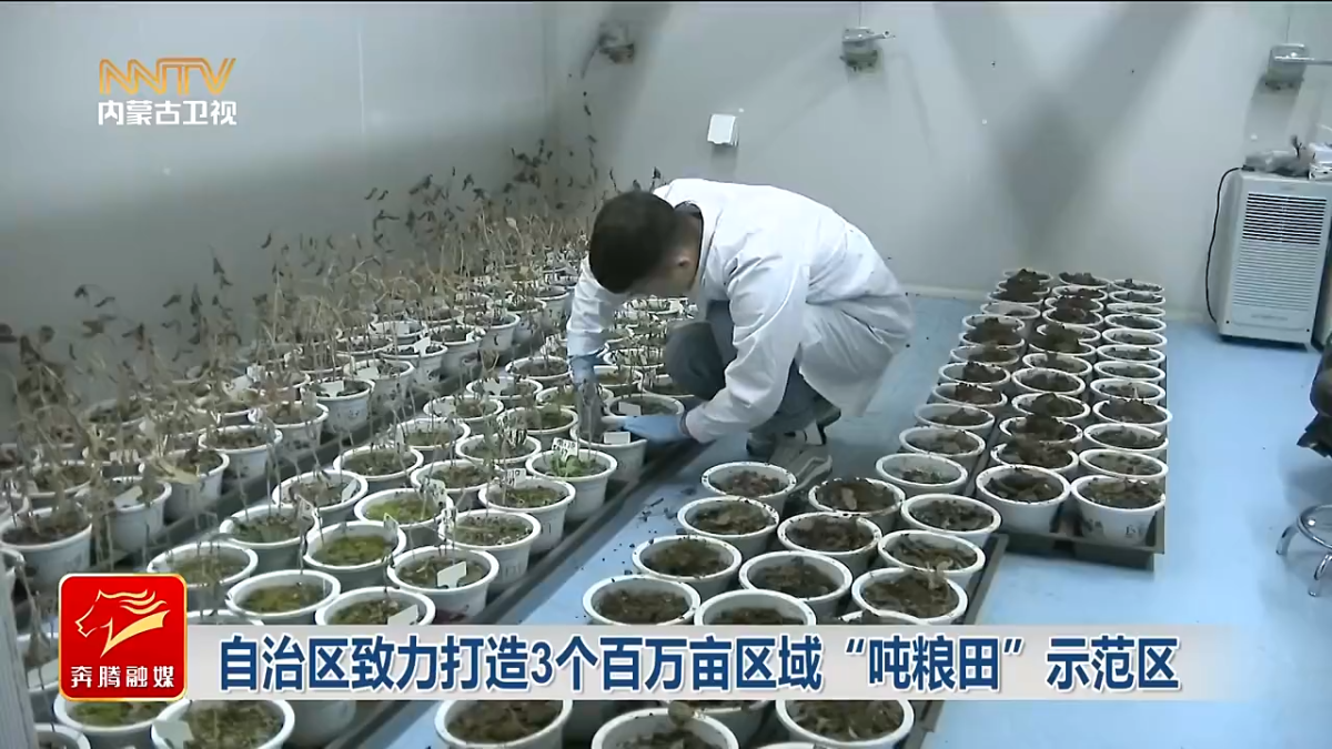 視頻截圖