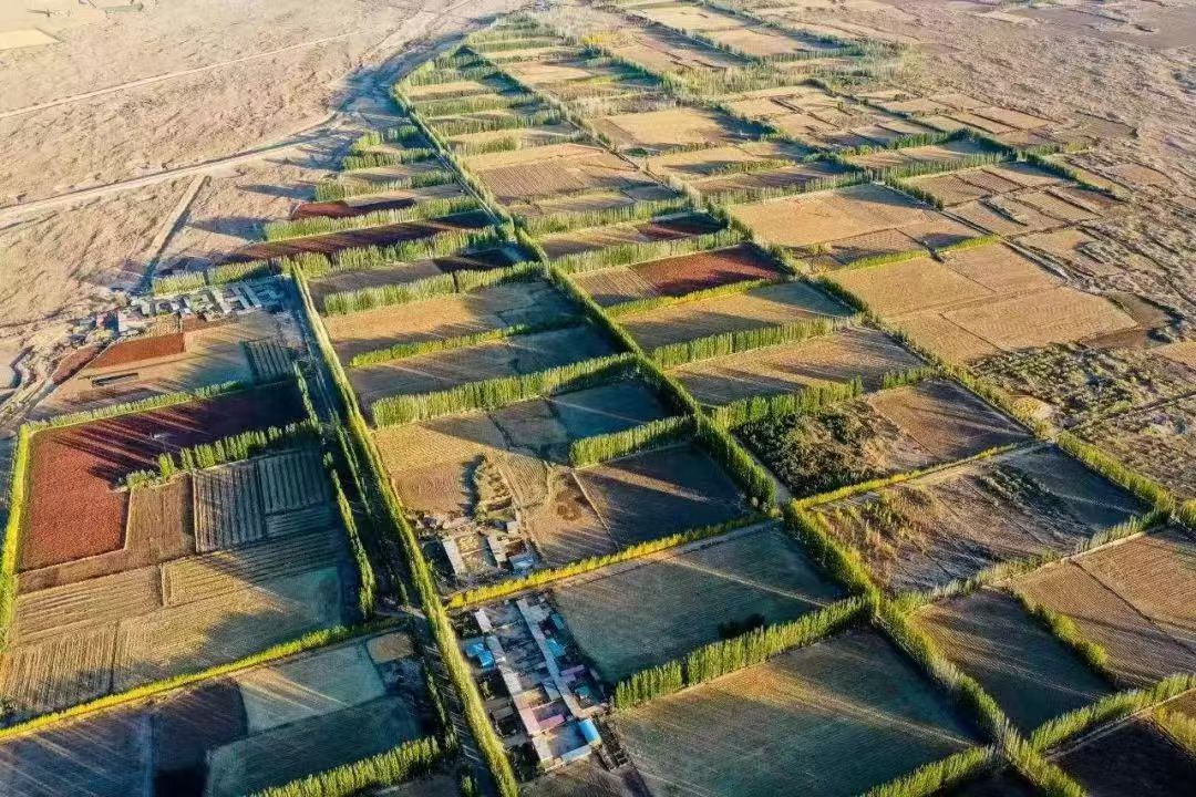 無效路徑